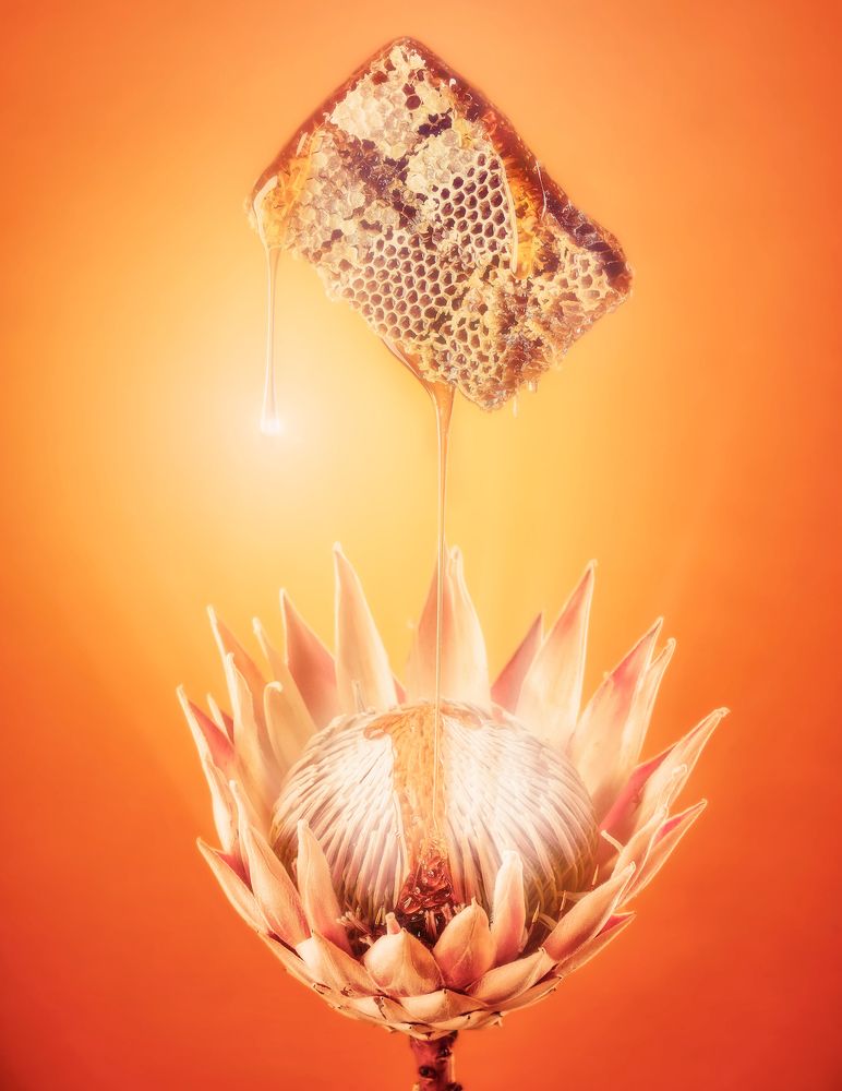 Photograph by Geran Raath