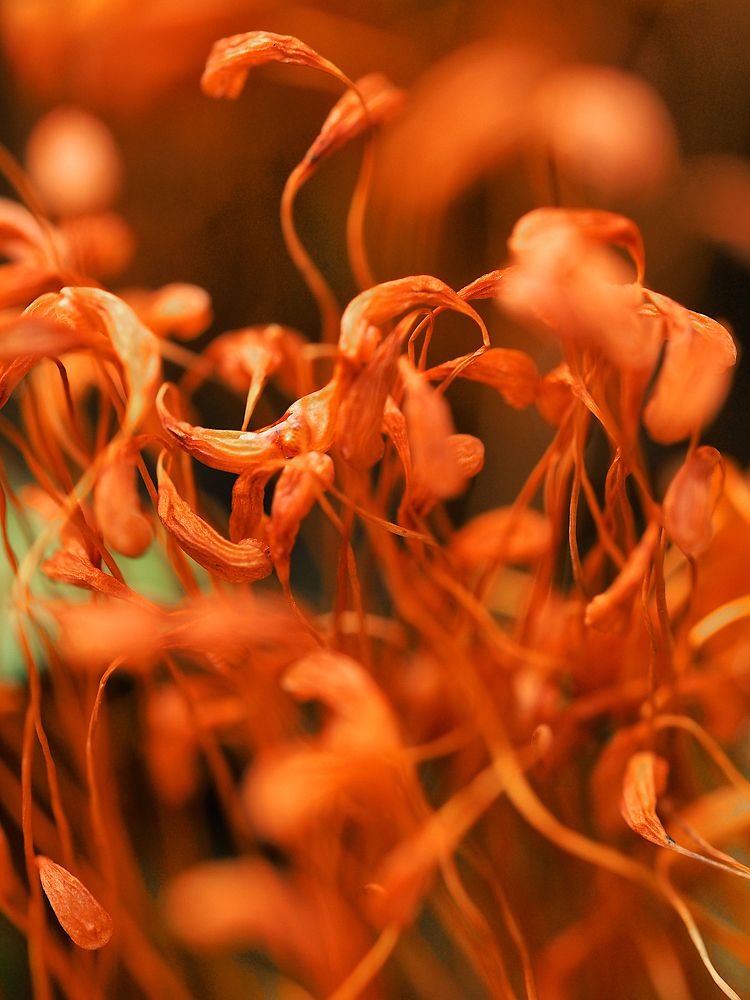 Photograph by Ирина Протченко