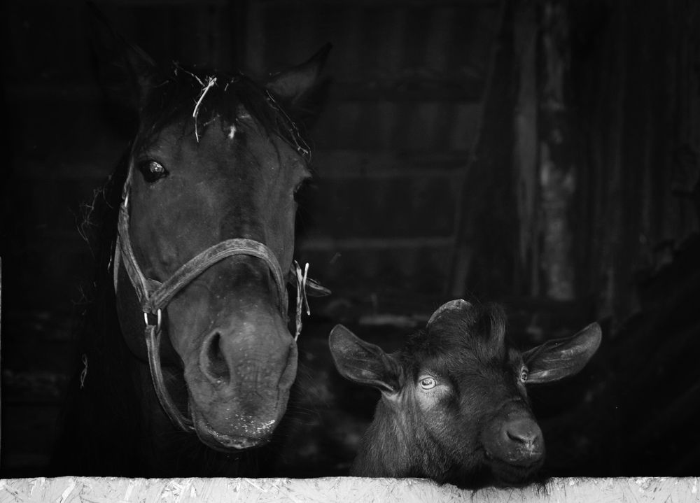 Photograph by Юлия Локалова