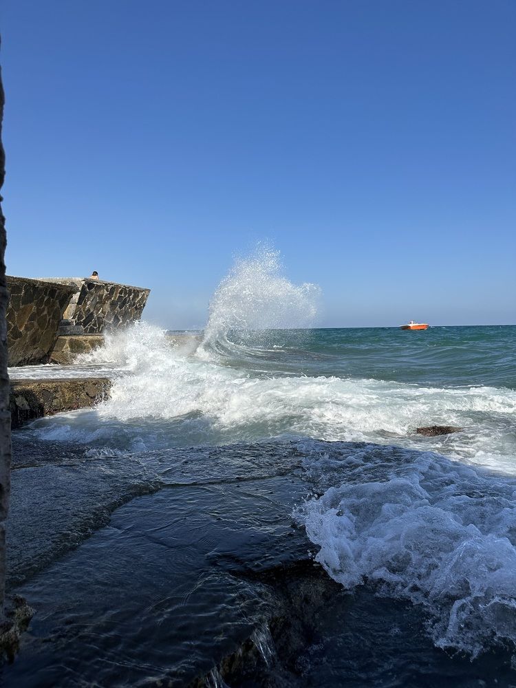 Фотография автора Анна Голубева