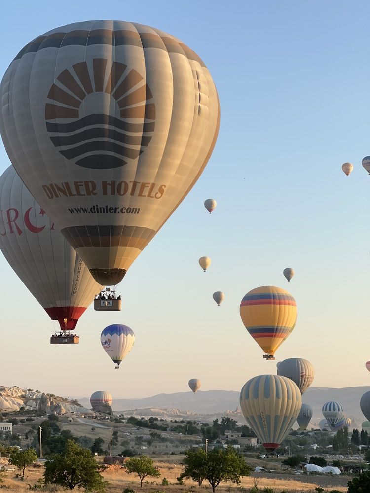 Фотография автора Анна Голубева