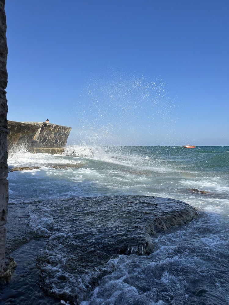 Фотография автора Анна Голубева