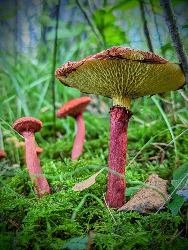 Photograph by Евгений Кузьмин