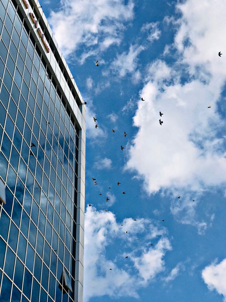 Photograph by Maedeh