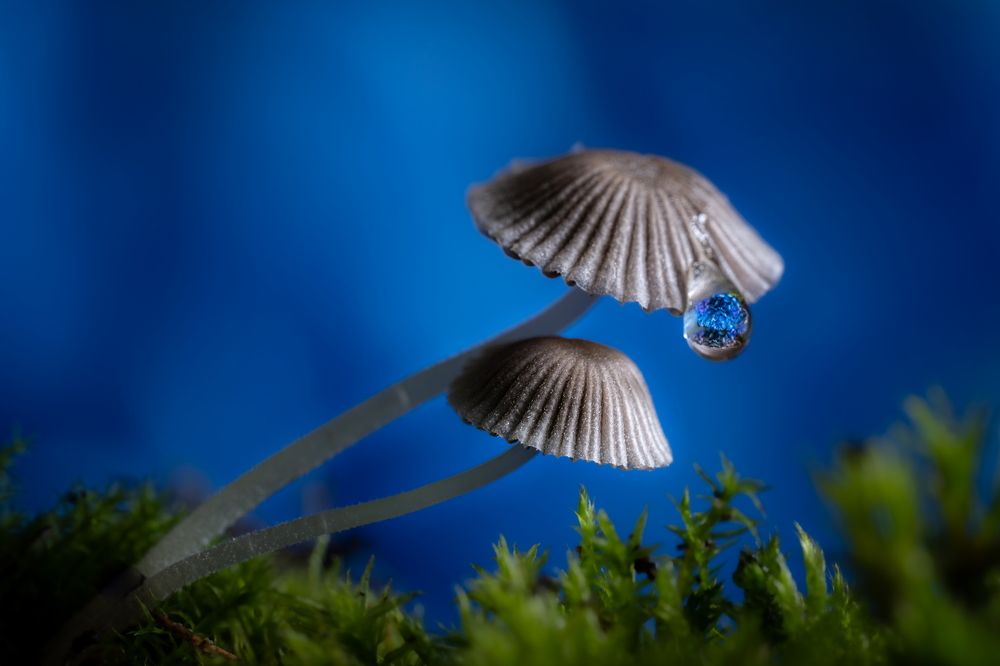 Photograph by Николай Фонарёв