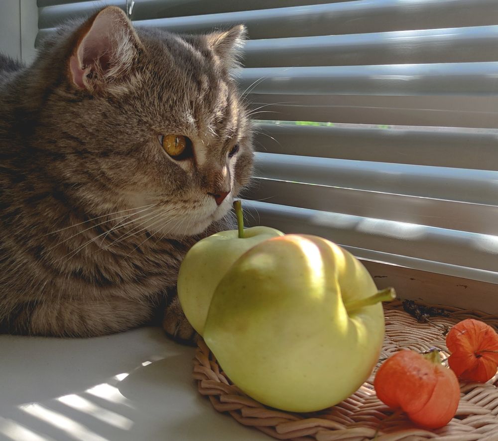 Photograph by Владимир Вялков