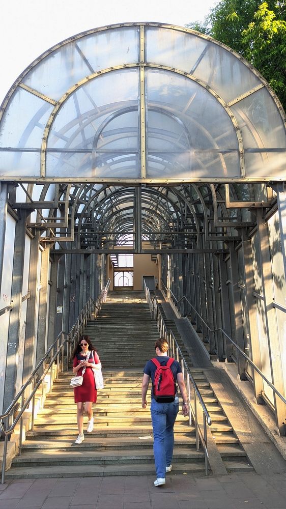 Фотография автора Васильева Ирина