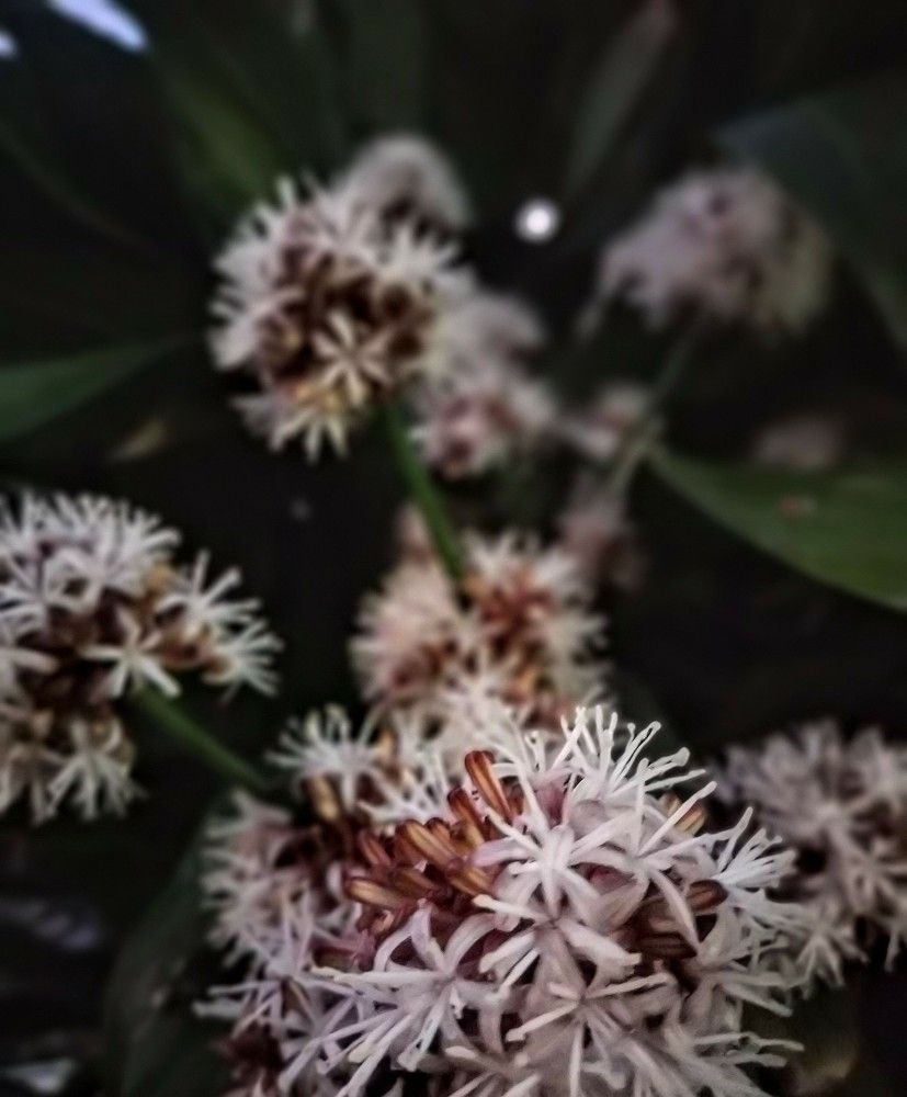 Фотография автора Bimalsingh Bhajun