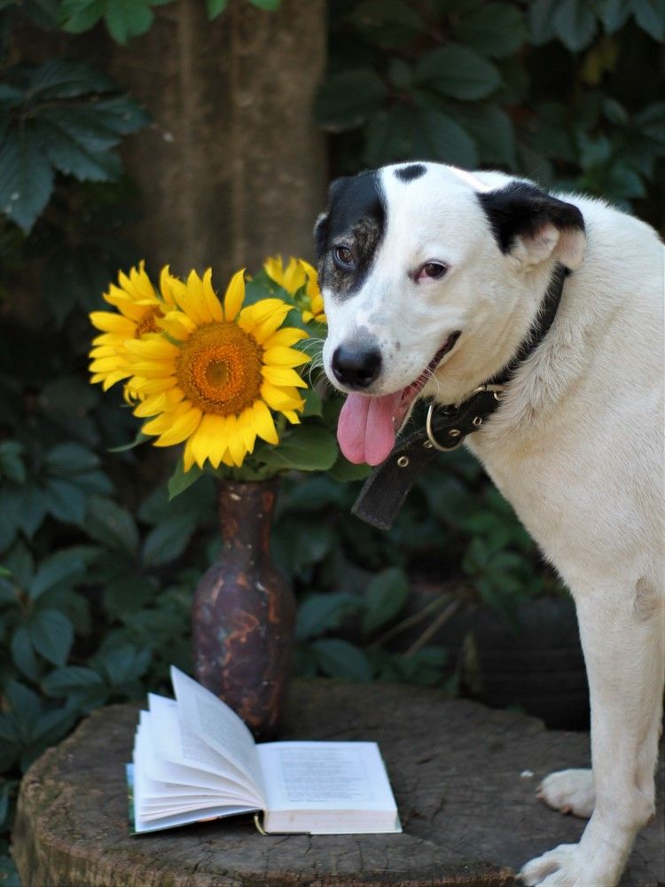 Фотография автора Таня Долгушева