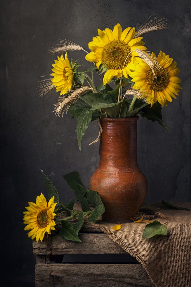 Photograph by Максим Вышарь