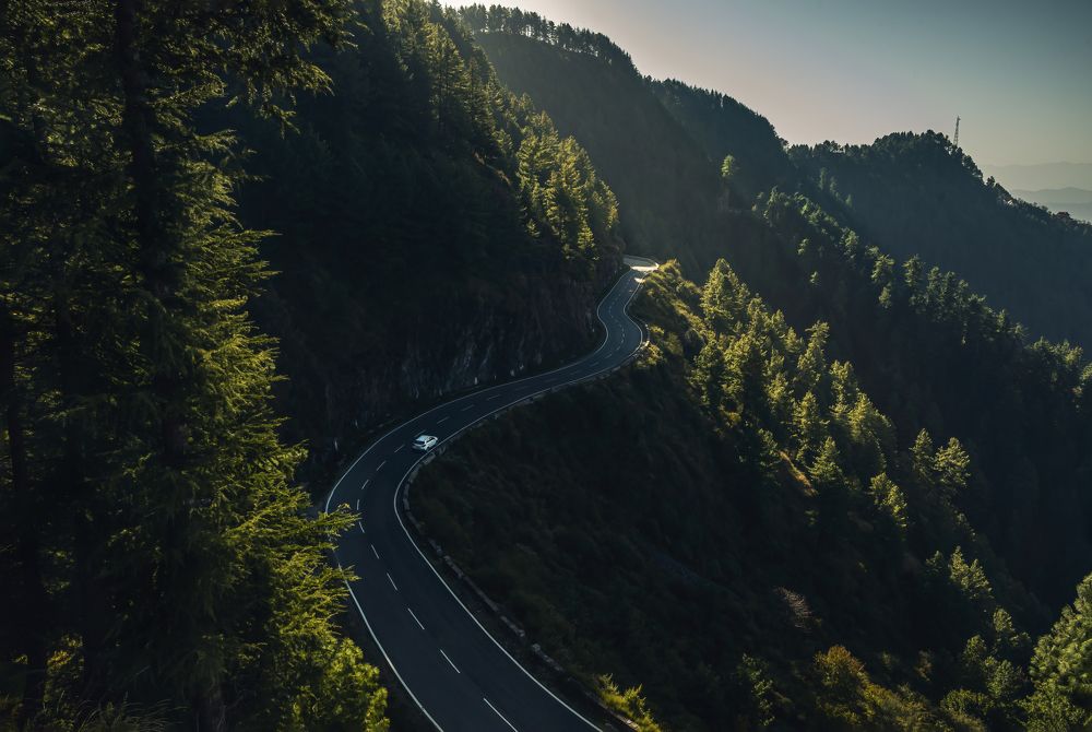 Morning shows the Day