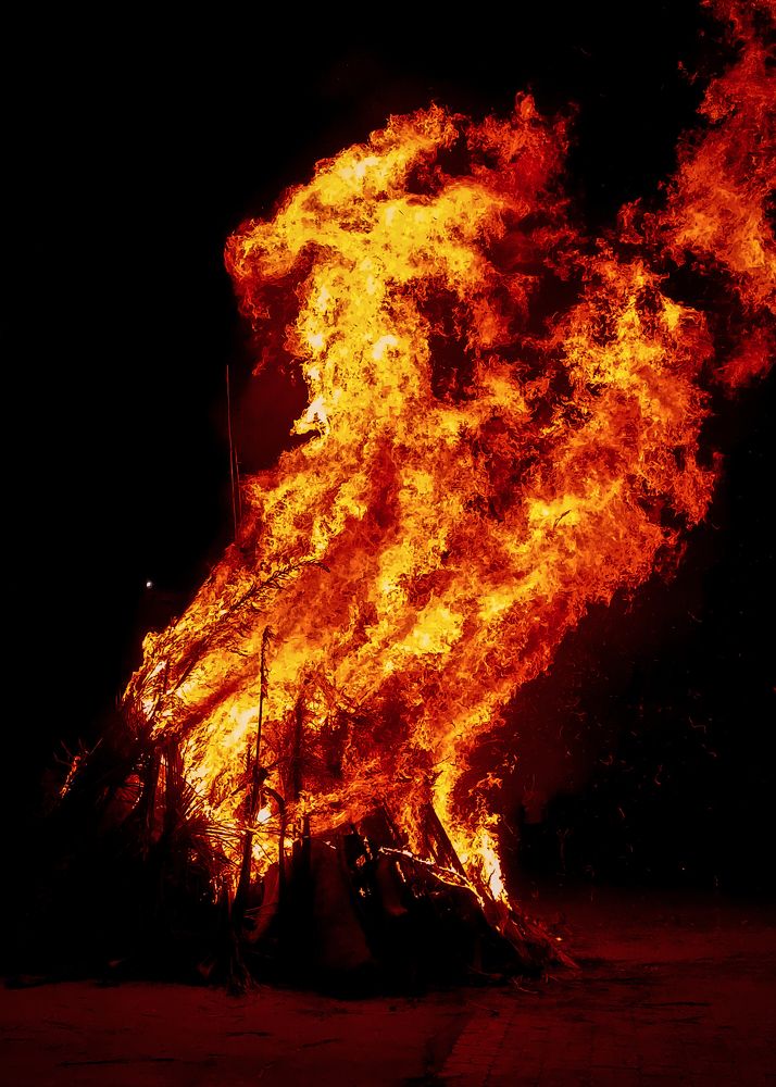 Photograph by Dhruv Mistry