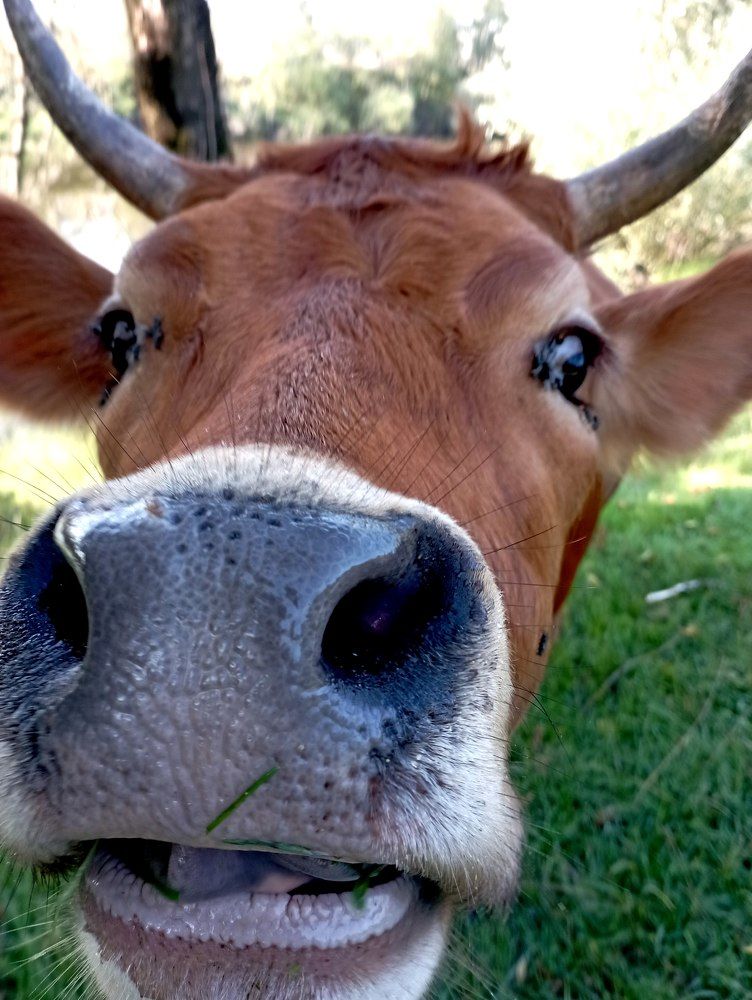 Photograph by натапов леонид