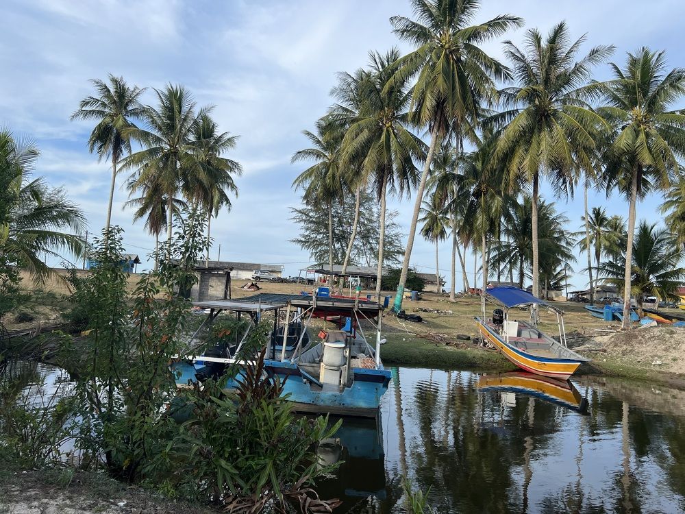 Фотография автора Harun Ali