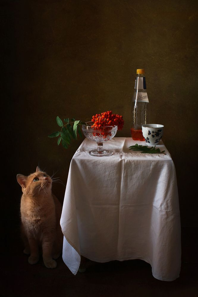 Photograph by Курочкина Диана