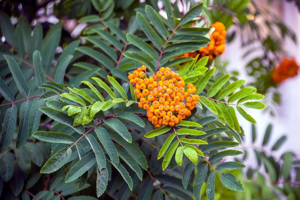 Photograph by Valery Kleymenov