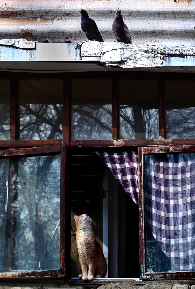 Photograph by Ксения Мироненко