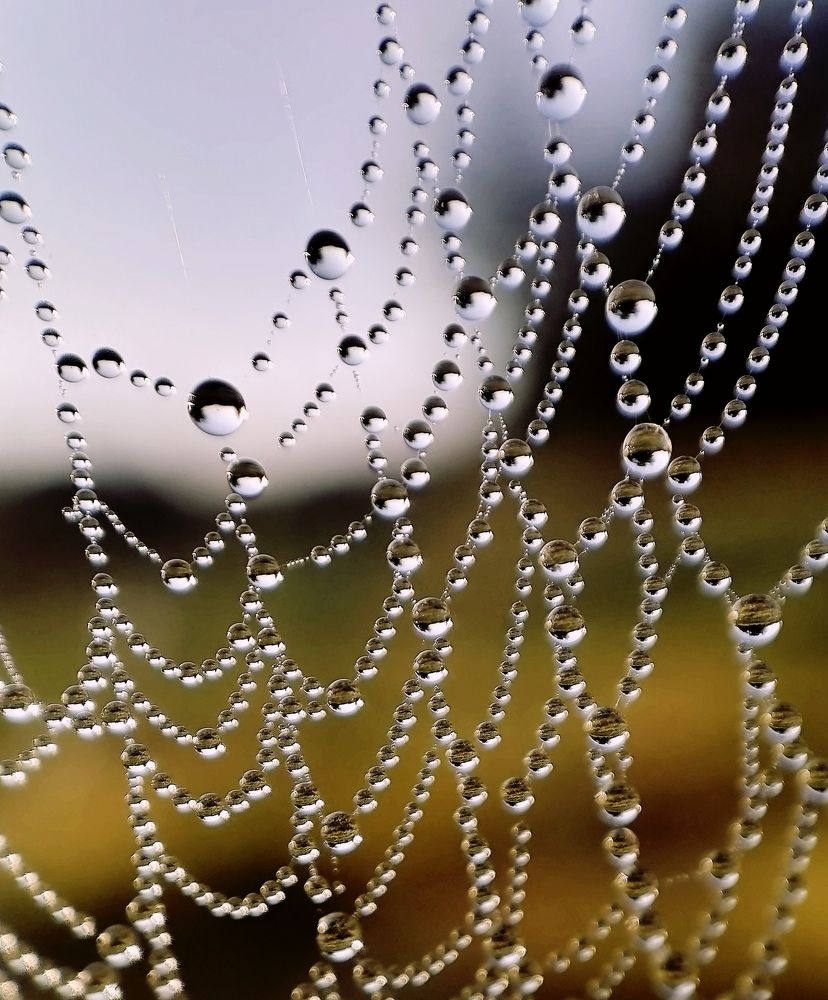 Photograph by Krystyna