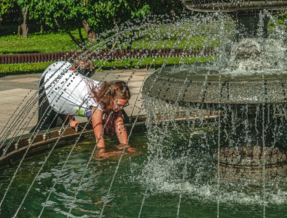 Photograph by Vladimir  Komarov