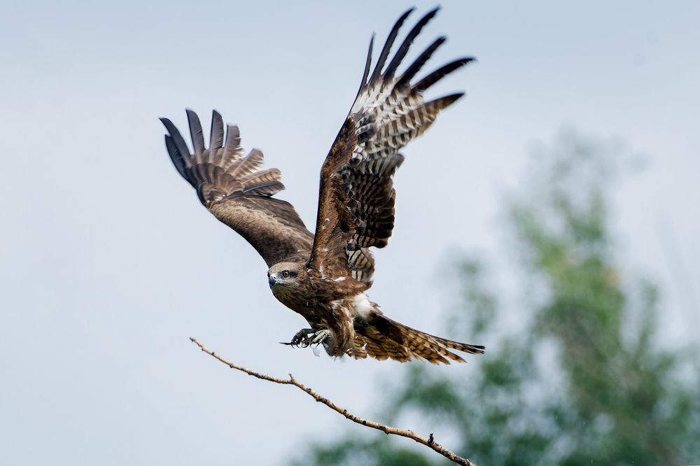 Photograph by Александр Перегудов