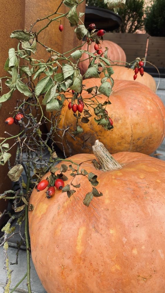 Photograph by Екатерина Балакина