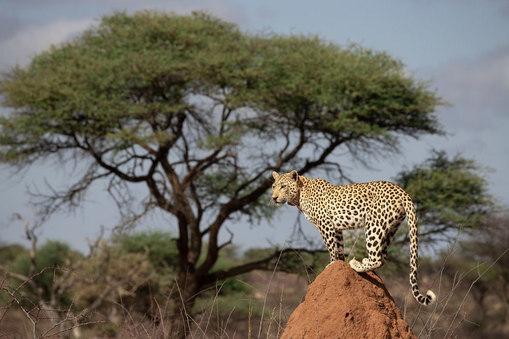 Photograph by Snezhana Shustova