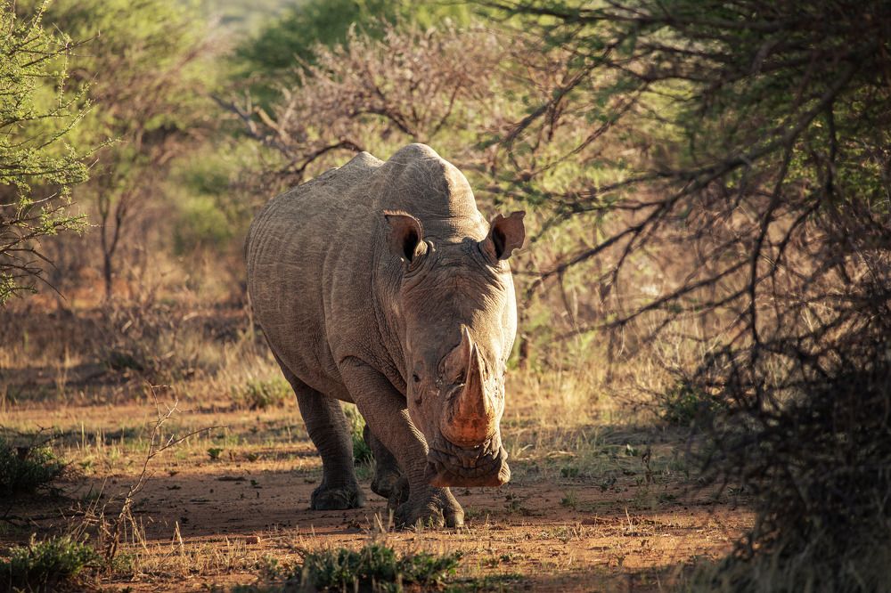 Photograph by Snezhana Shustova