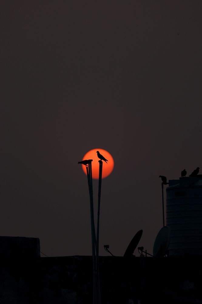 Photograph by Avijeet Sapui