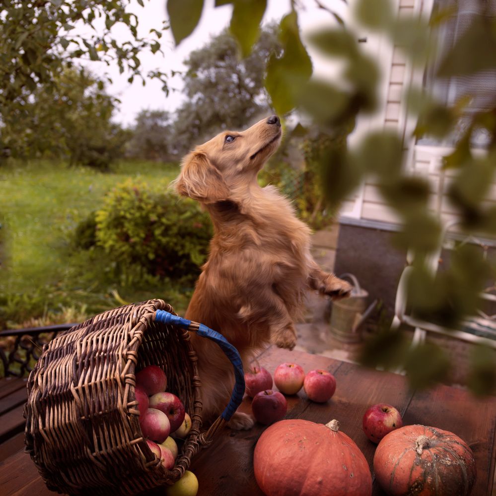 Фотография автора Наталья Смекалина