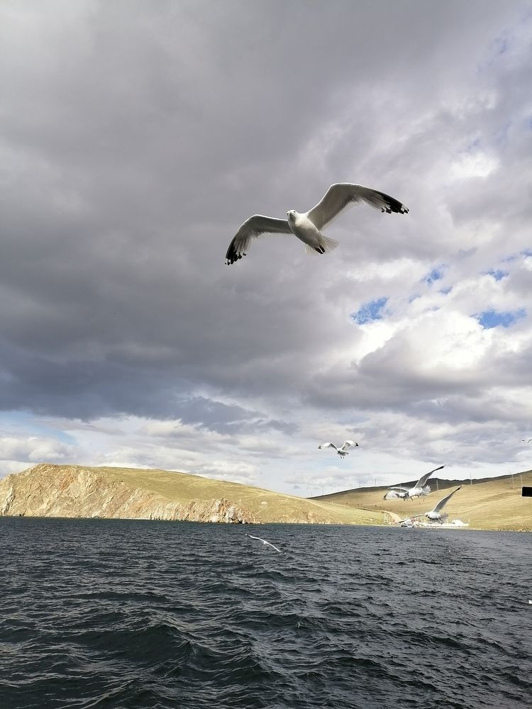 Photograph by Людмила Савчук