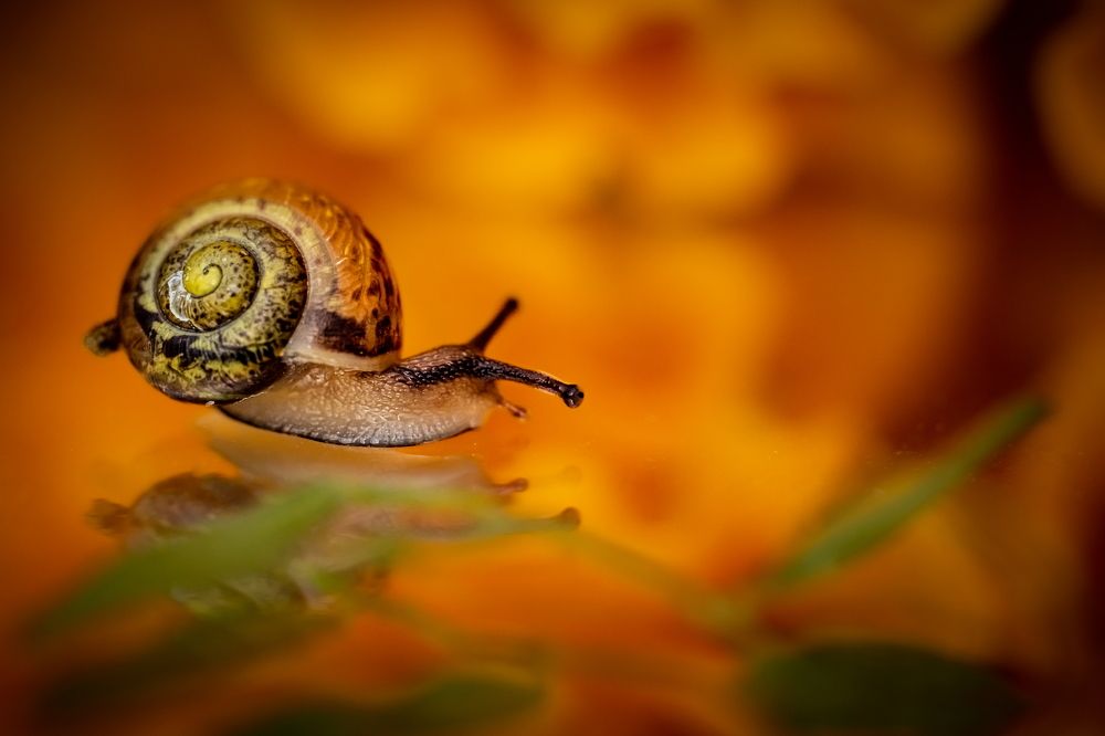 Photograph by Николай Фонарёв