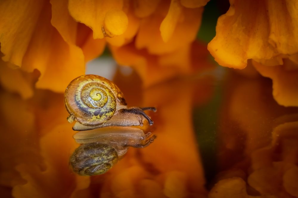 Photograph by Николай Фонарёв