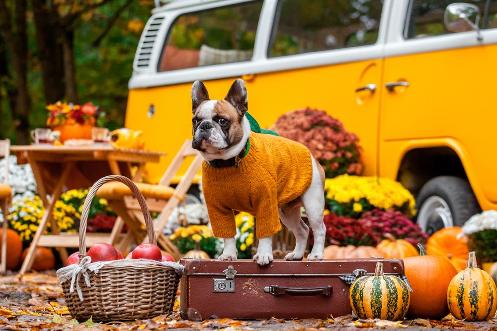 Photograph by Татьяна Степанова