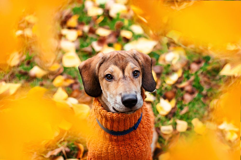 Photograph by Татьяна Степанова