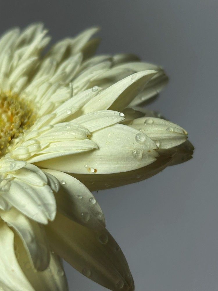 Фотография автора Nastasya Sablina