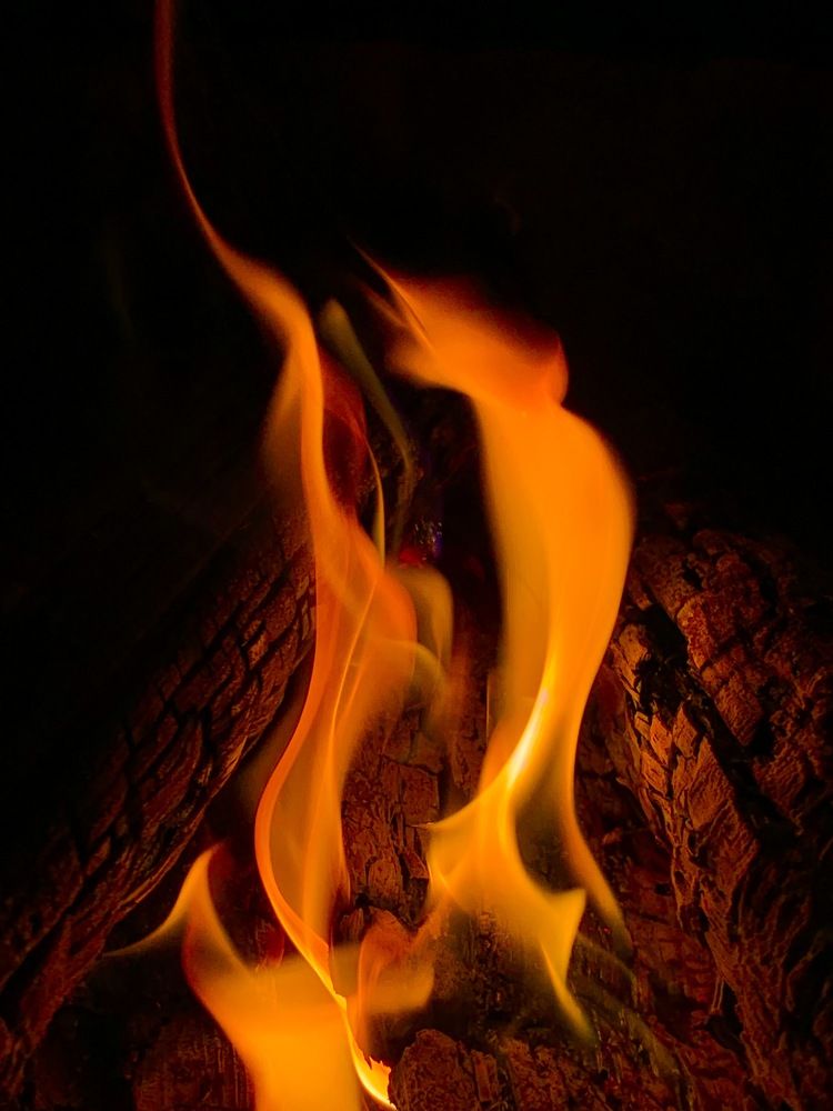 Photograph by Елена Смирнова