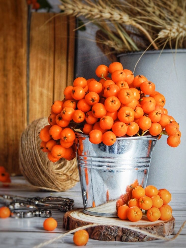 Photograph by Ирина Алпацкая