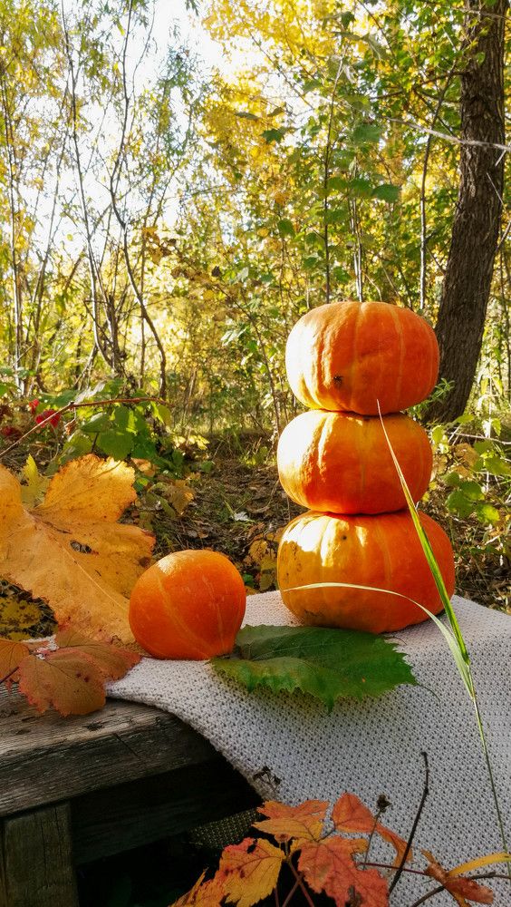 Photograph by Ирина Алпацкая