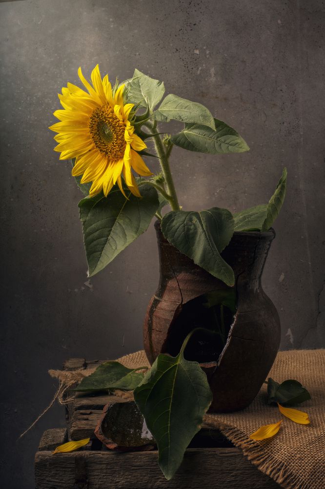 Photograph by Максим Вышарь