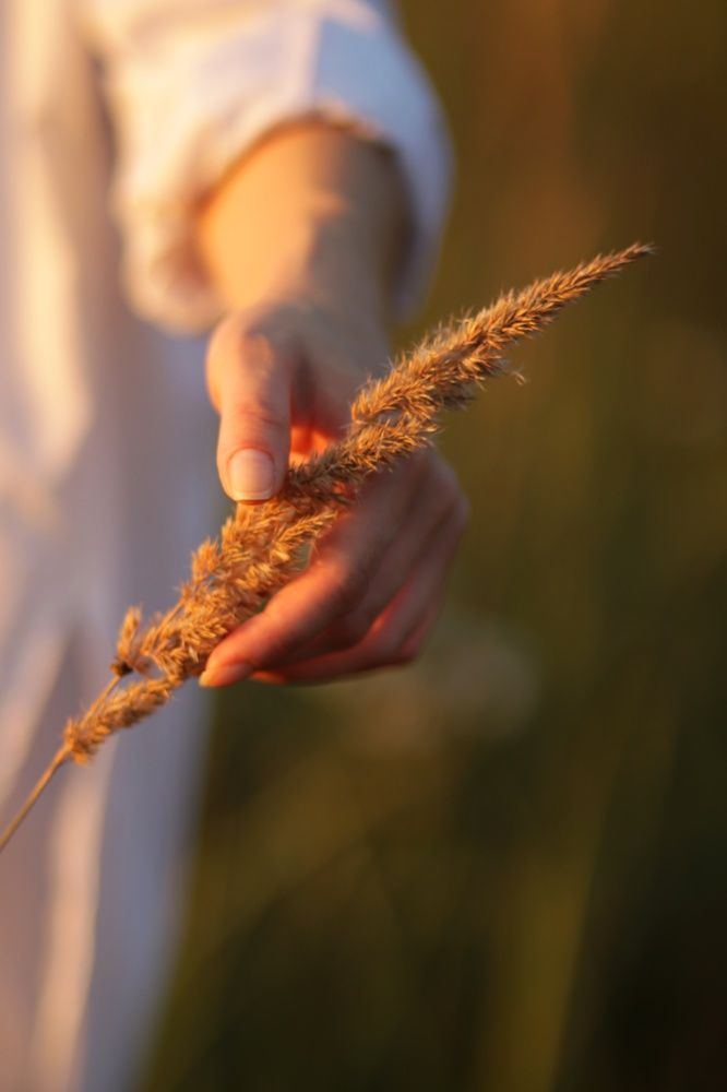 Photograph by Ольга Дегтярёва