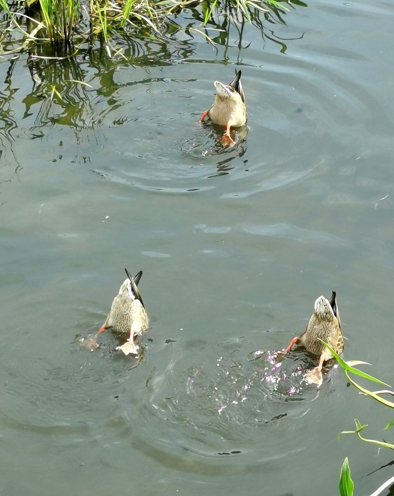 Photograph by Наталия Питолина