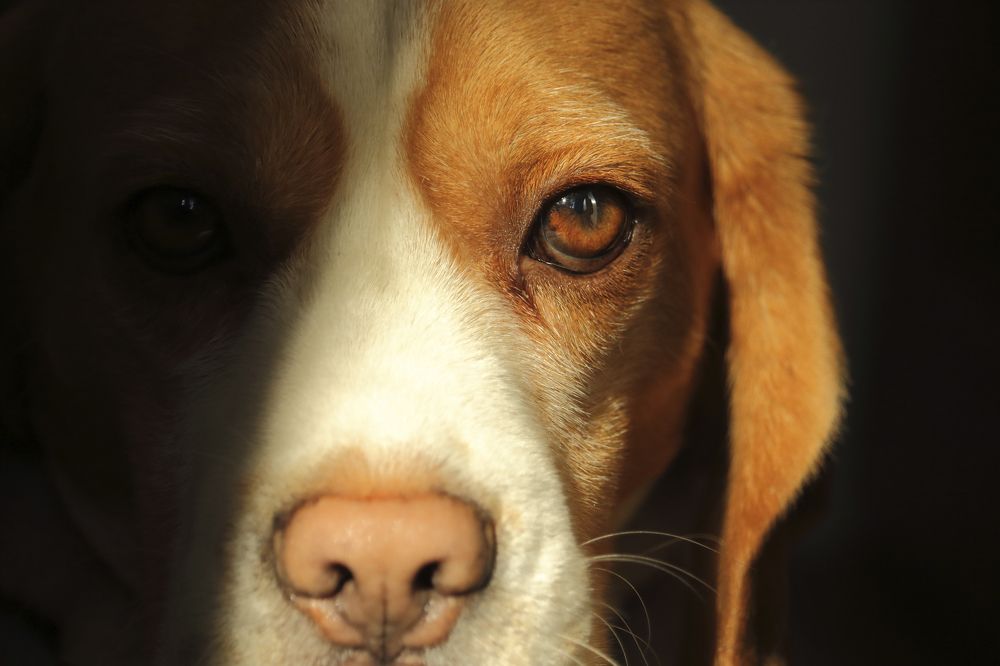 Photograph by Юлия Куликова