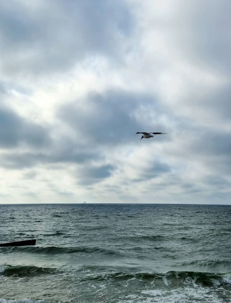 Photograph by Екатерина Воротникова