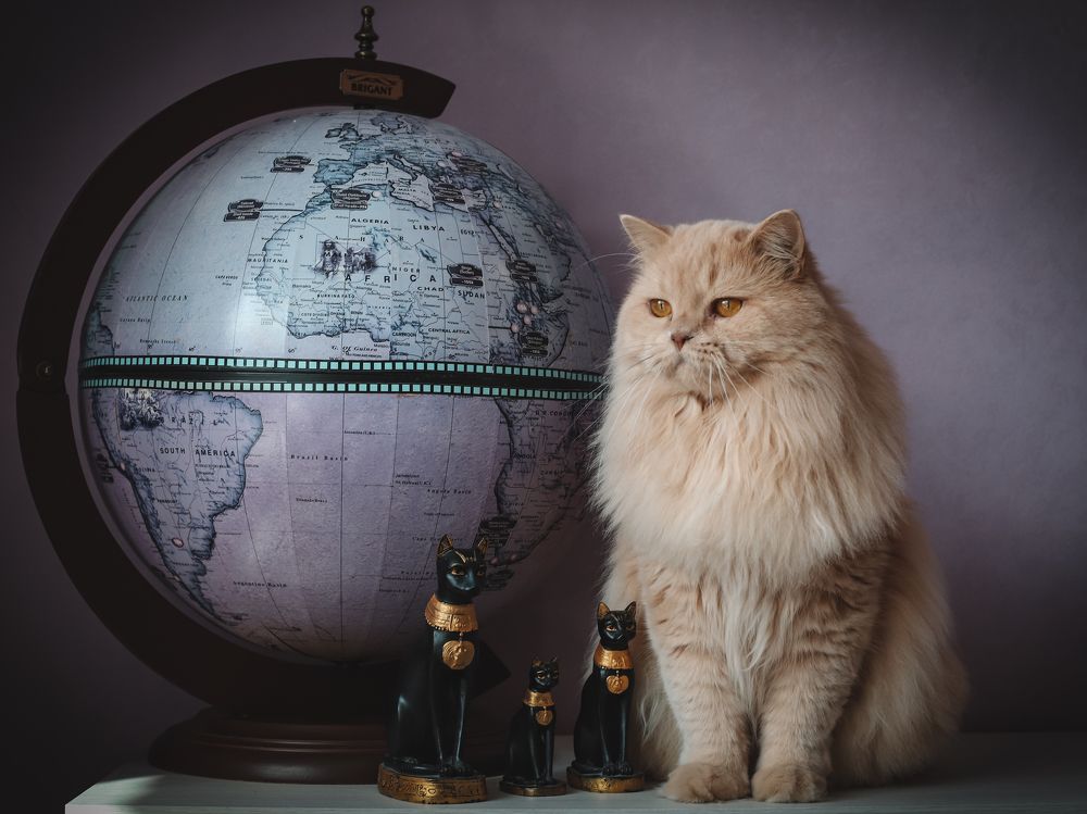 Photograph by Альвина Кузнецова