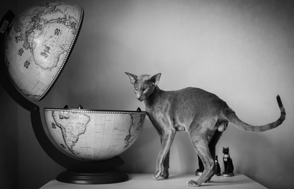 Photograph by Альвина Кузнецова