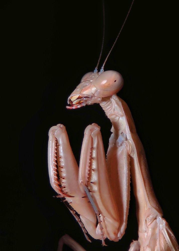 Photograph by Amin Ghaffarian