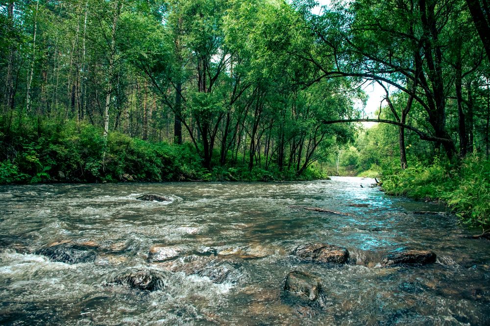 Photograph by Светлана Козлова