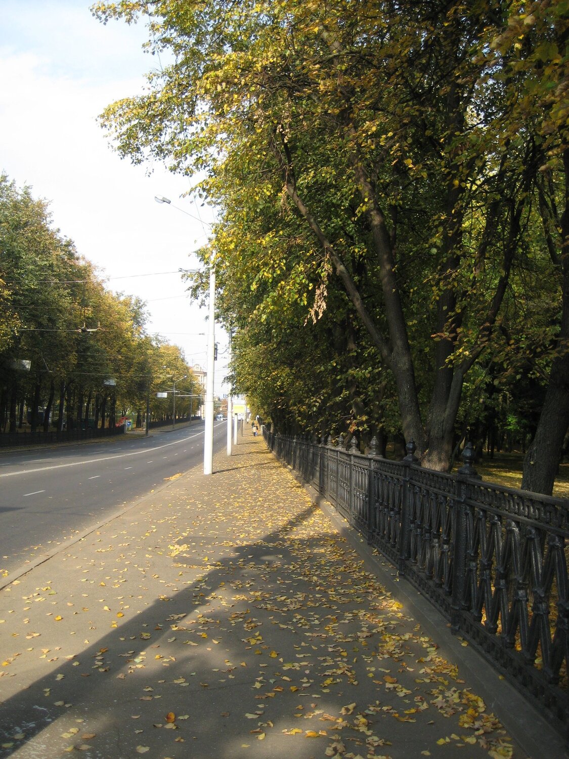 Photo #9431545