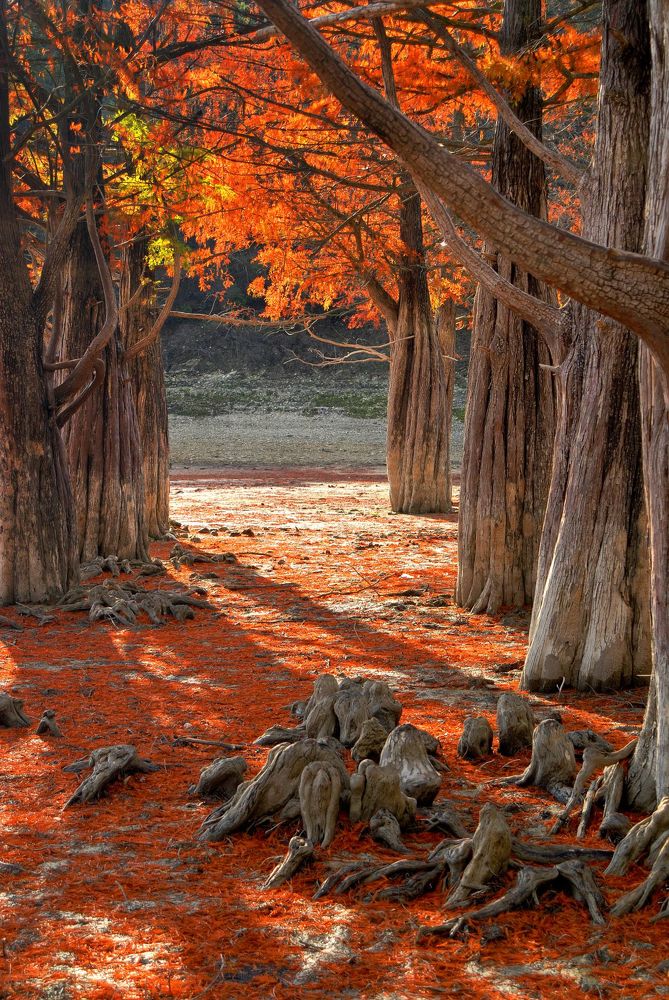 Photograph by Виктор Лагашёв