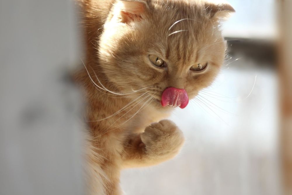 Photograph by Татьяна Бравая